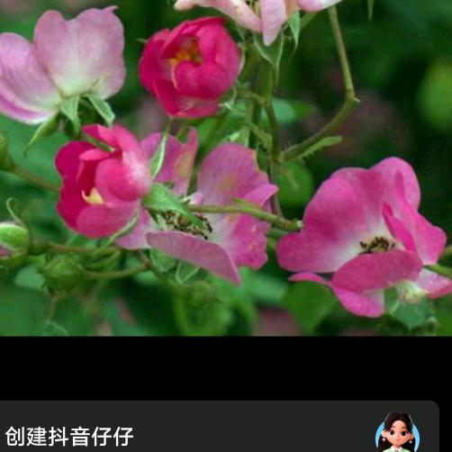 要学坚强
