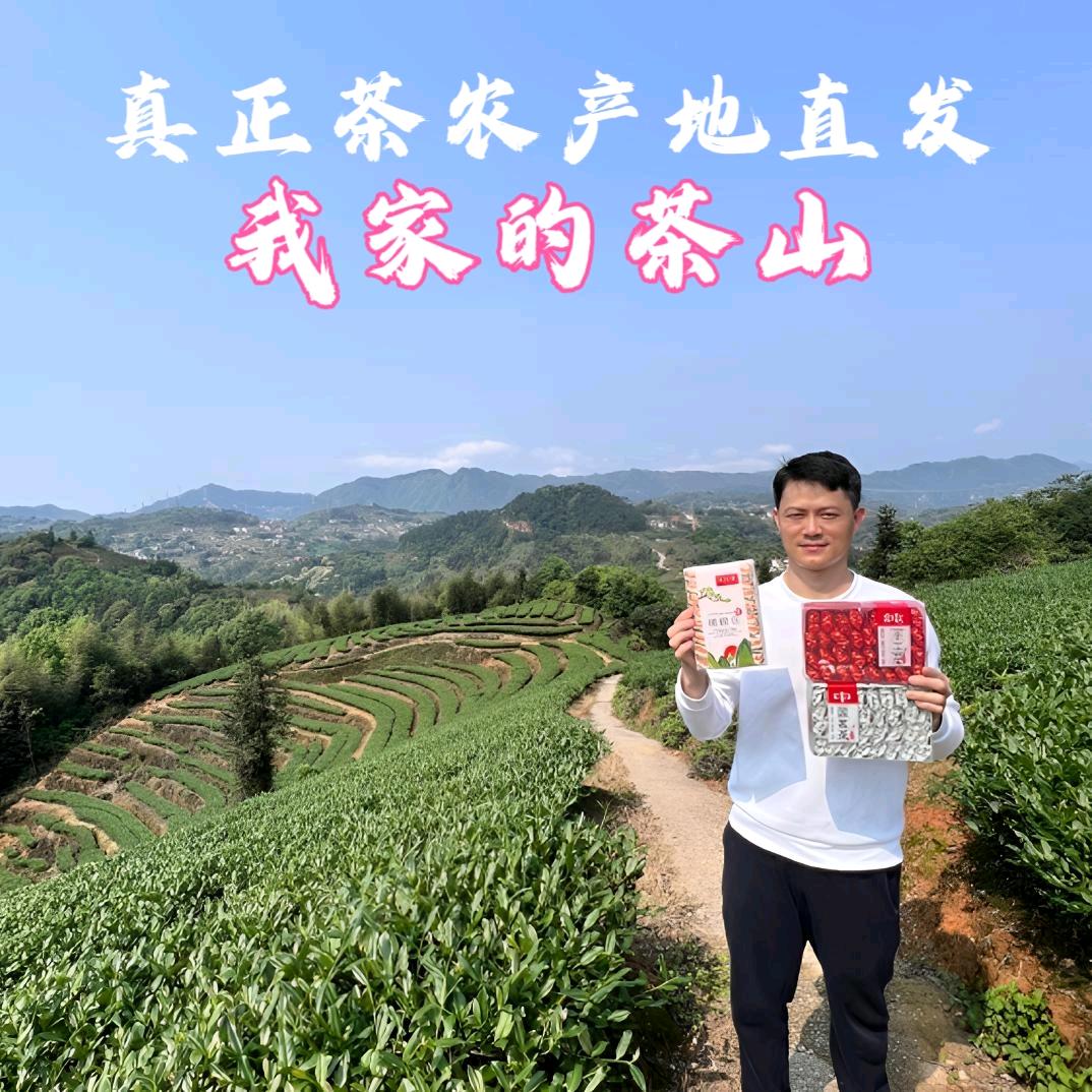 百姓茶叶-专注铁观音茶