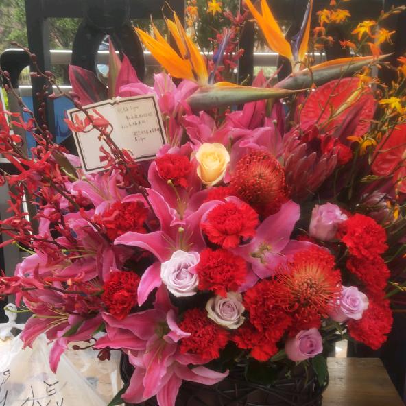 往后余生不在打扰!!!!!!