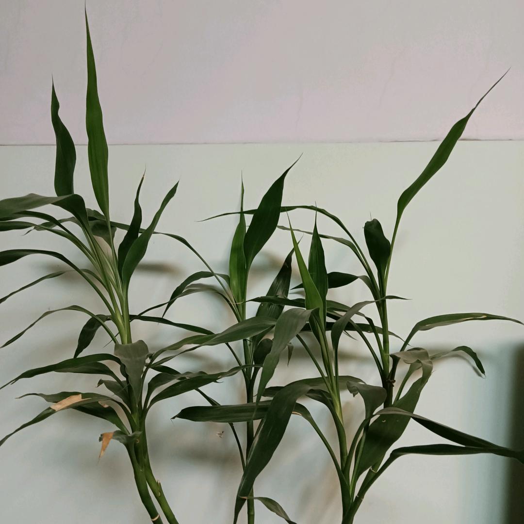 还好    还行