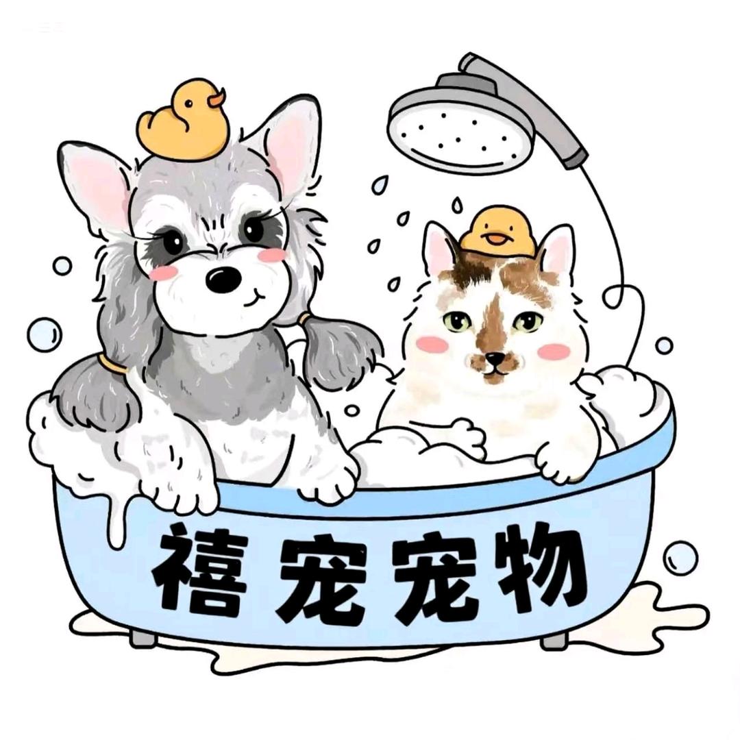 禧宠宠物店