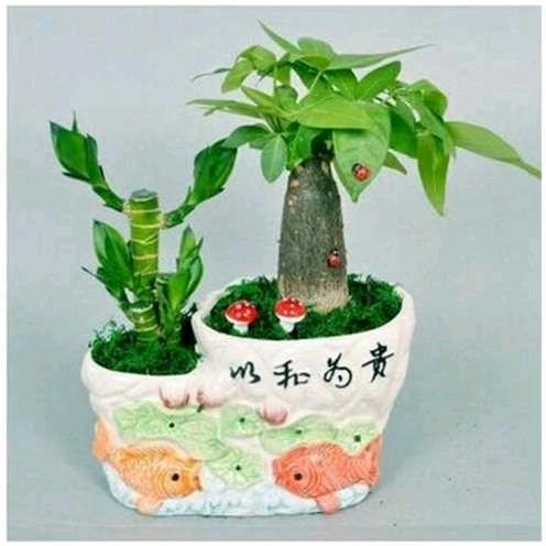 好运连连