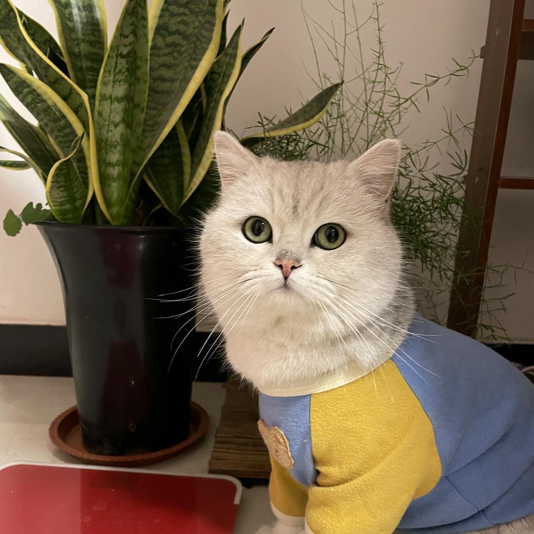 路