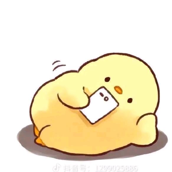 宝总驾到