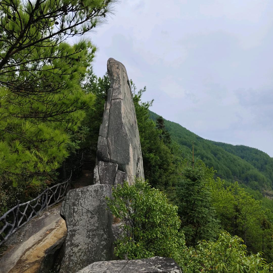 周家坝361度小丽