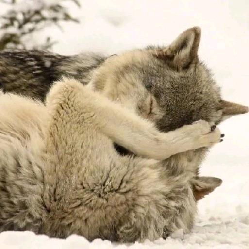 ♡吃不胖的瘦子💓♂️