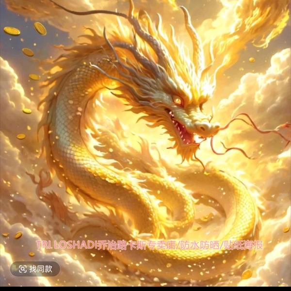 老实人❤️❤️
