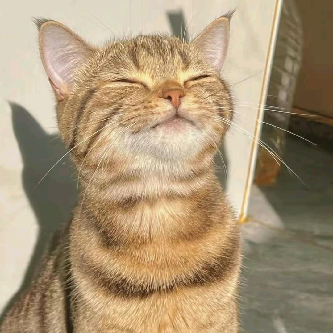 星辰大海