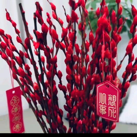 纳尼
