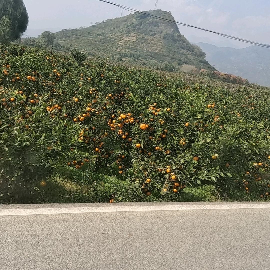 没啥大不了，从头开始