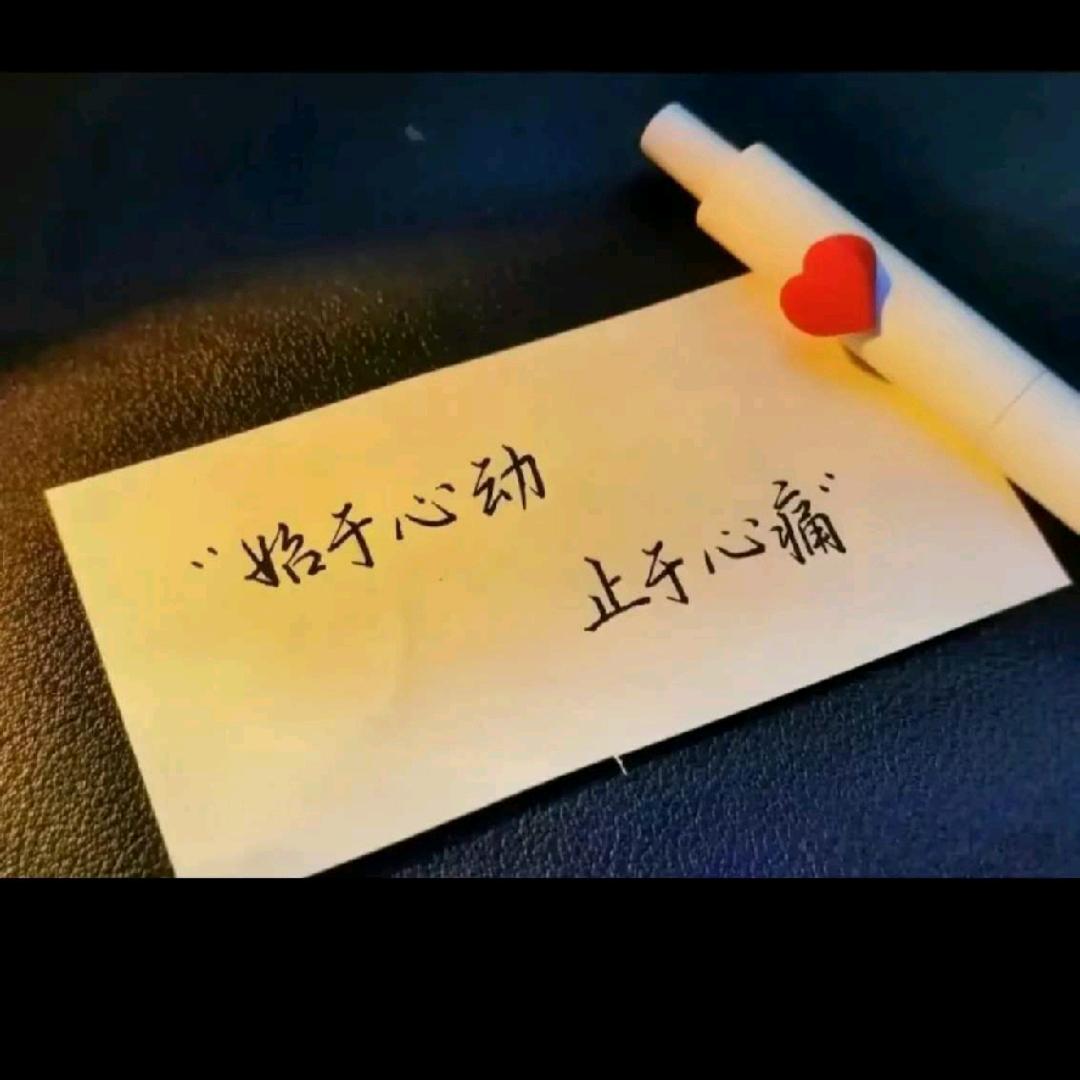 爱恨随意