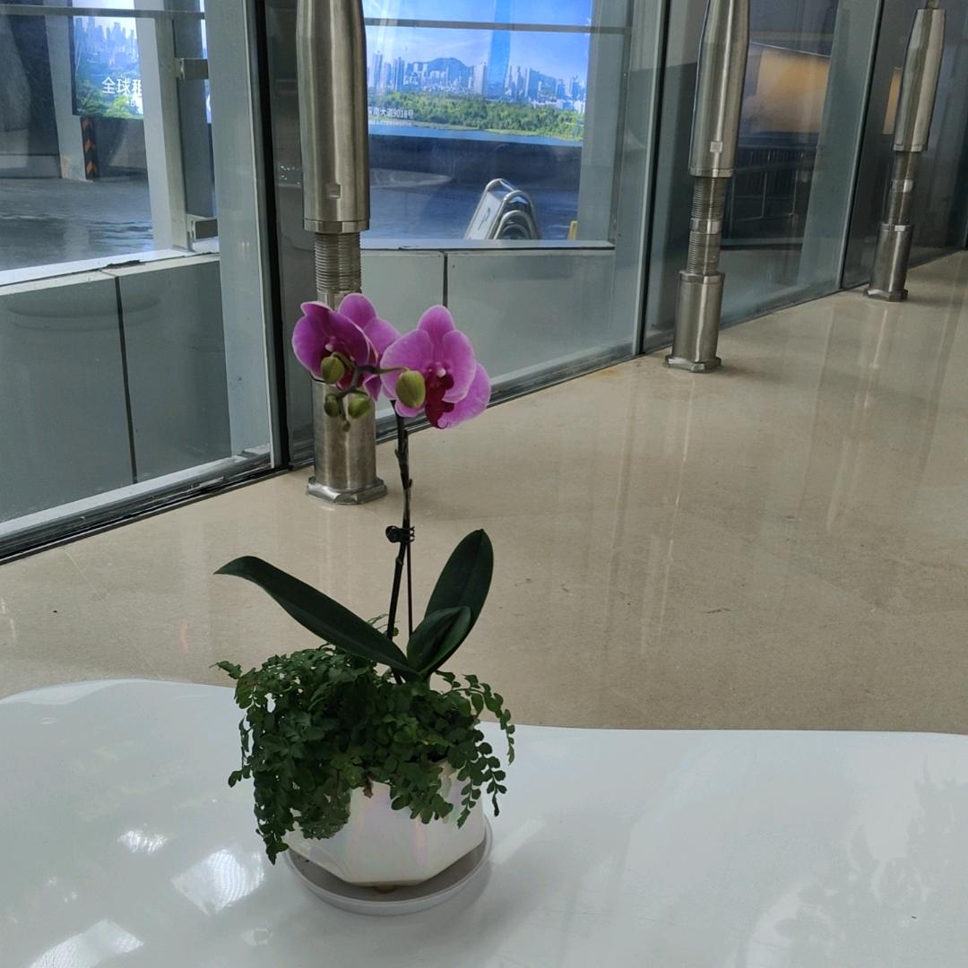 孤╮芳自賞