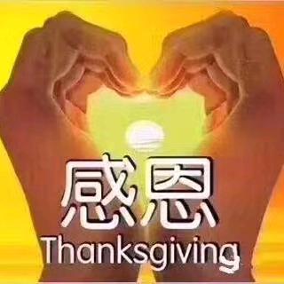 梦蝶