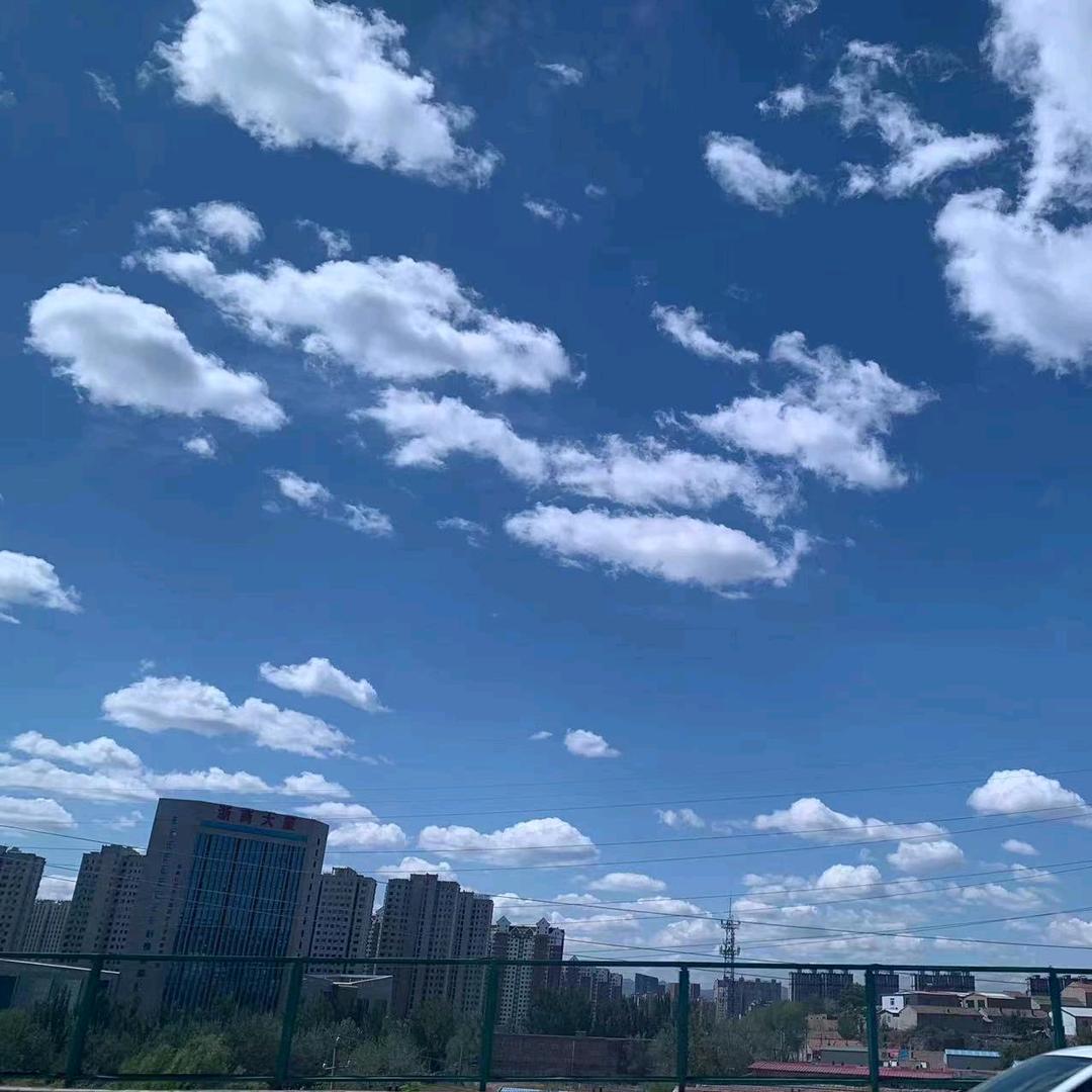 释秒宝