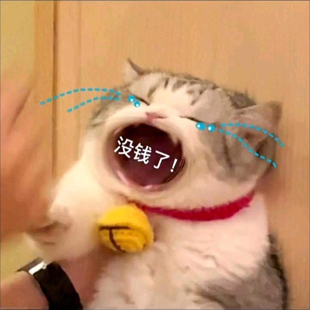 泡芙🐼