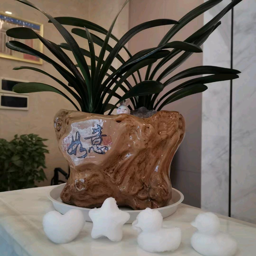 如意健康