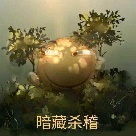 步行街想你（快乐单身汪）