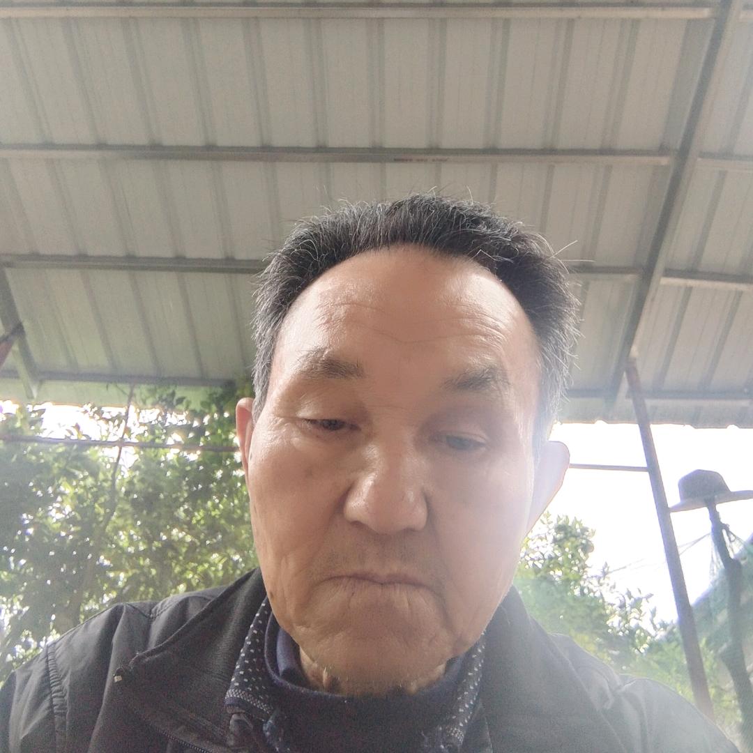 不老松永析