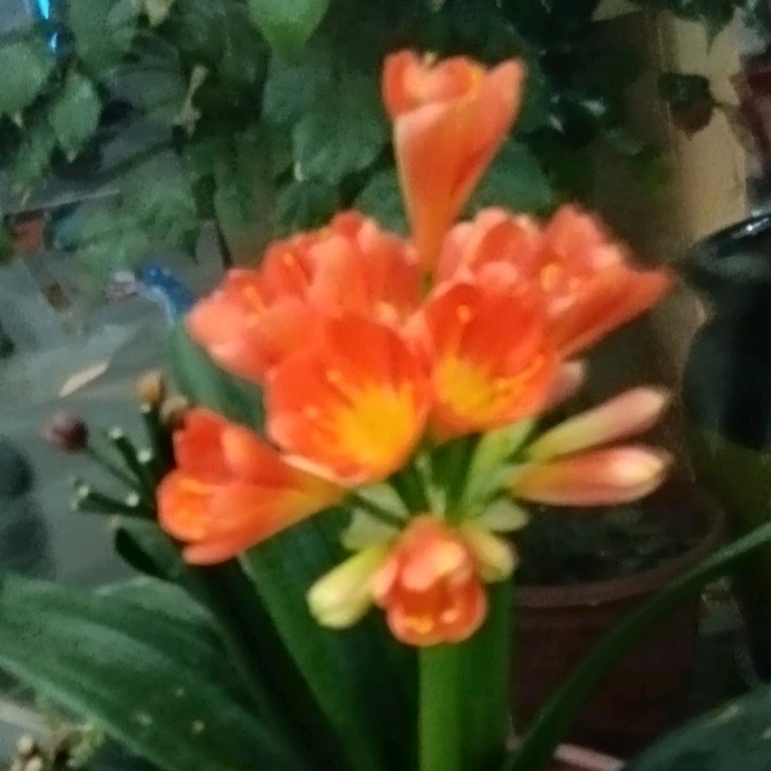 爱自己🍀