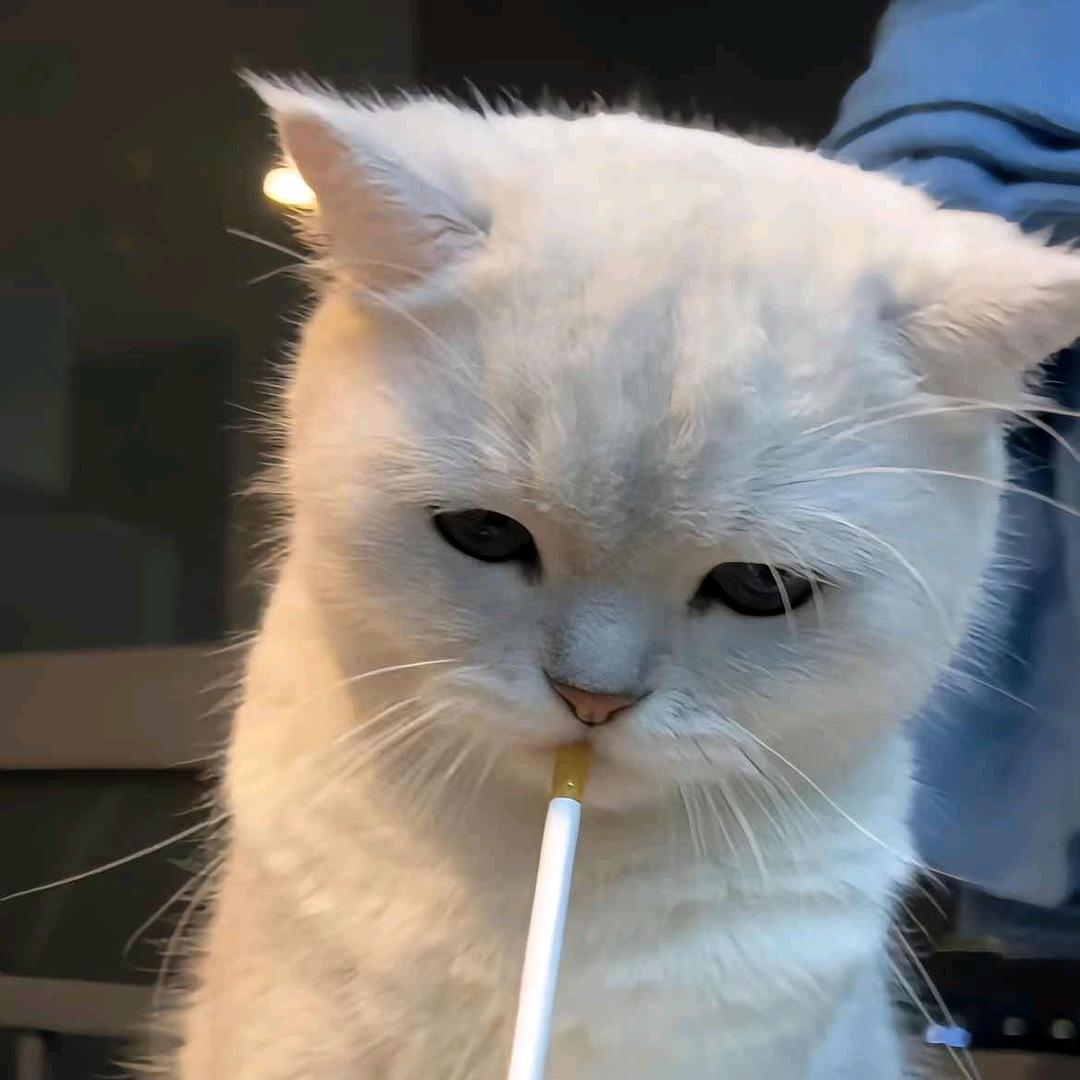 🌈七月不长安
