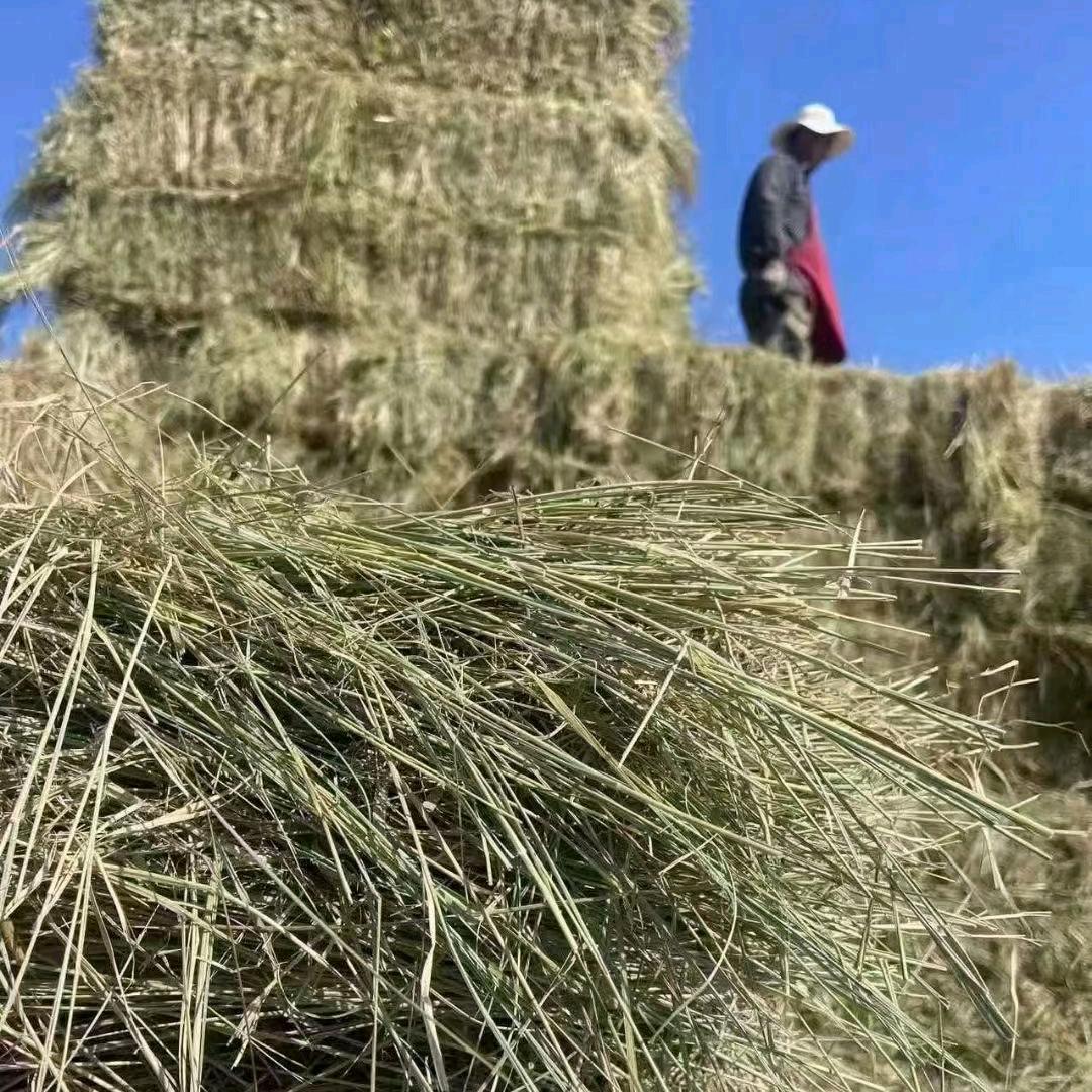 顺鑫草业