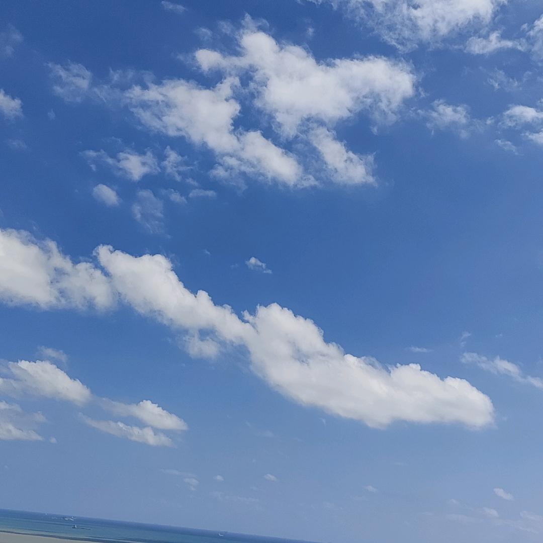 龍ø