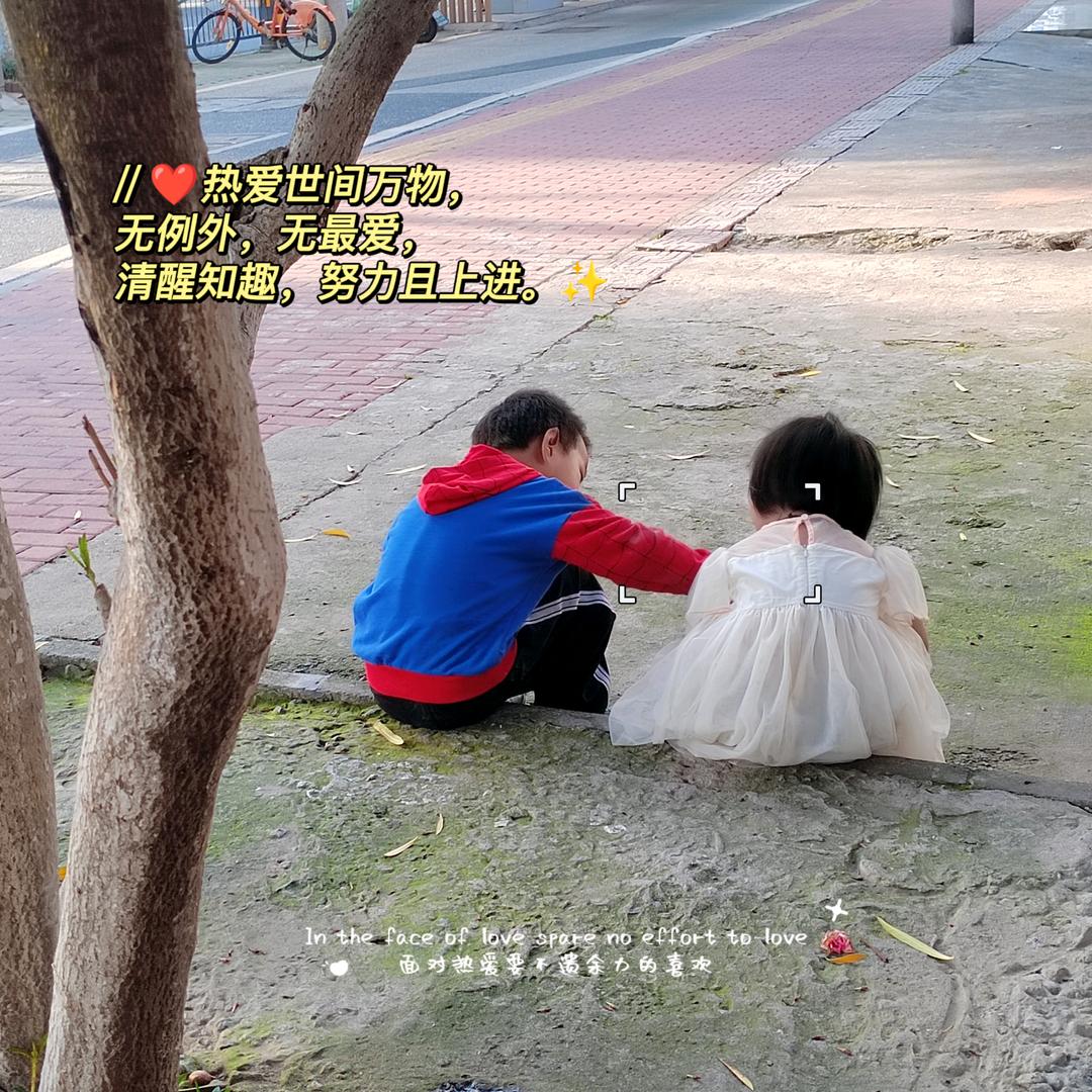 云边有棵树