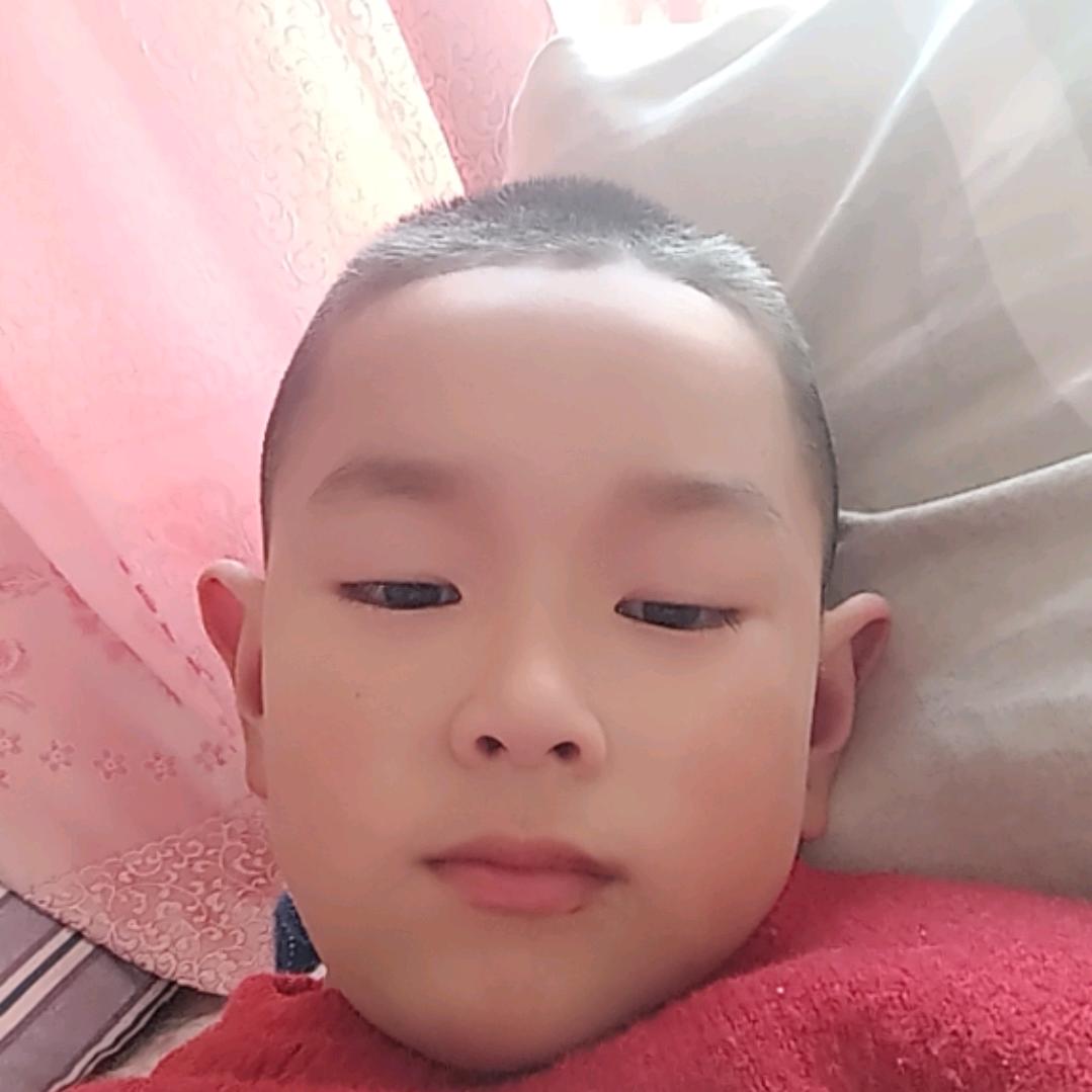 刘朗(反圆梦之星Abc英语角)