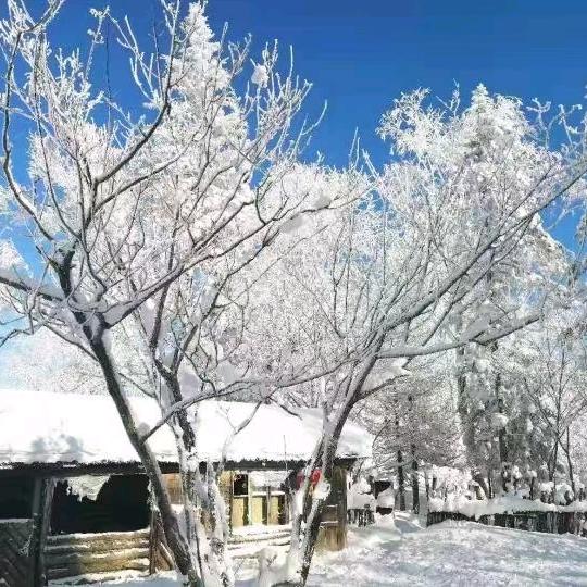 中国雪乡  亚布力滑雪
