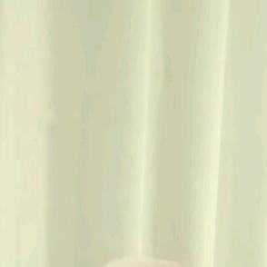 多财多艺