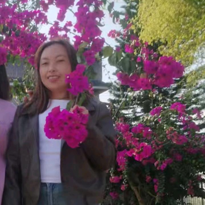 小仙女  发财的