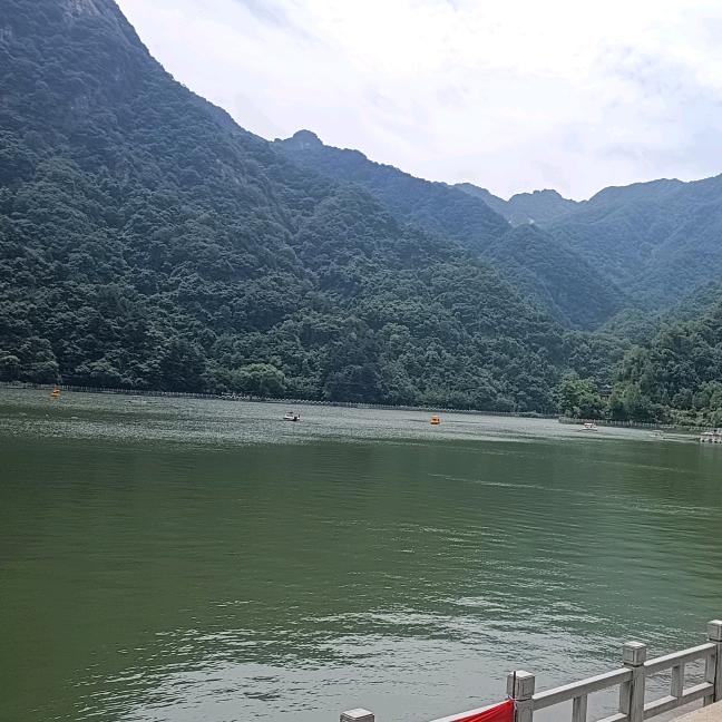 花的幸福