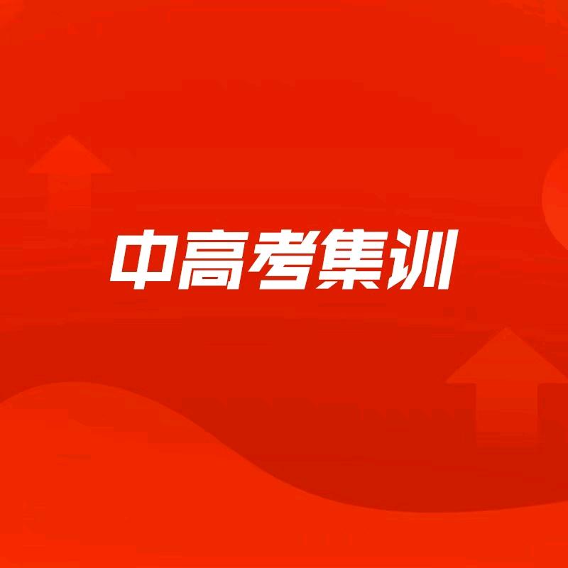 中高考集训