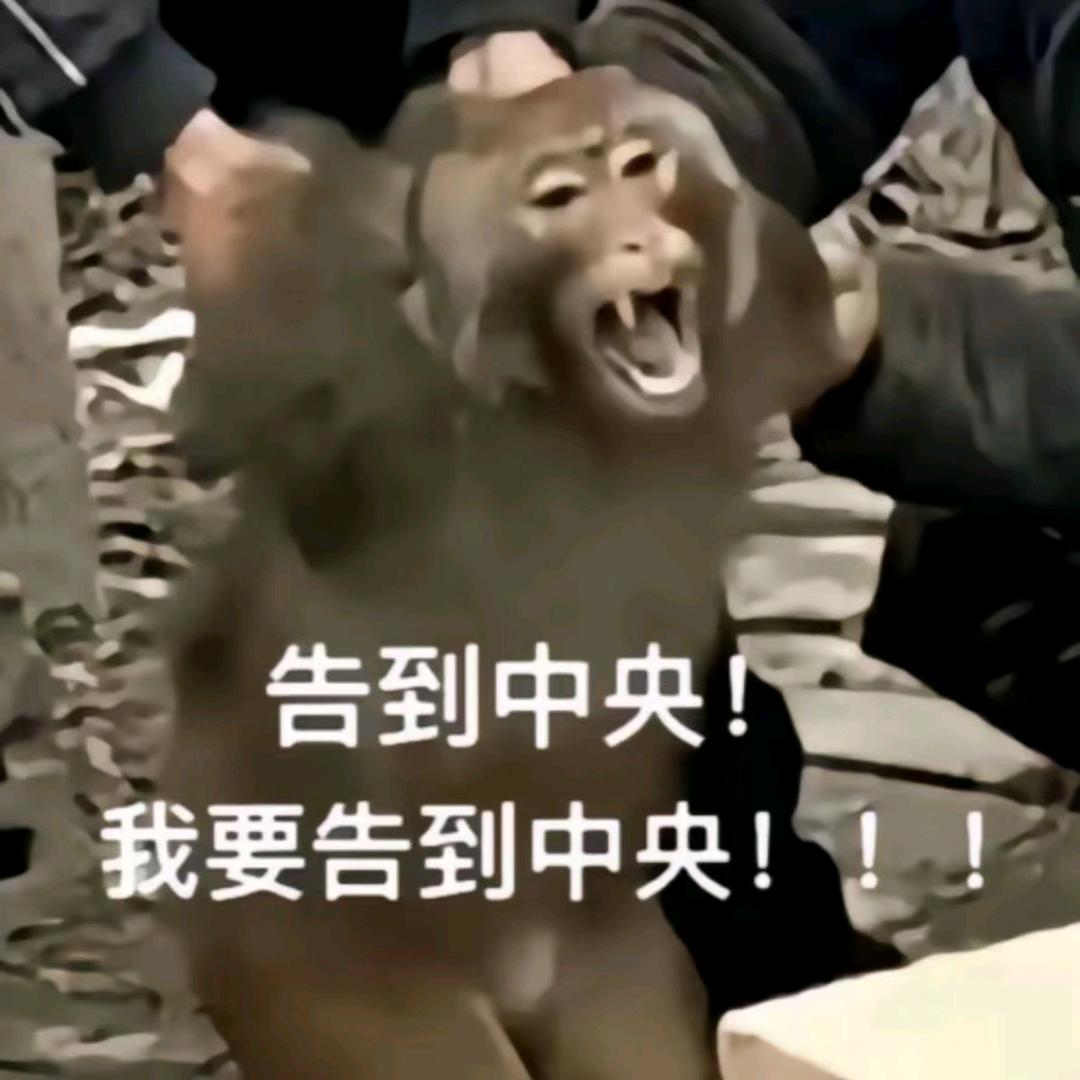吗喽的命也是命