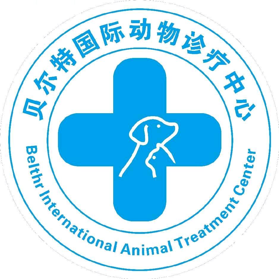 贝尔特国际动物医院一迟奇