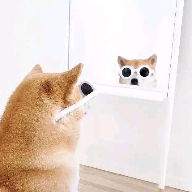 百色牛奶巧克力📷