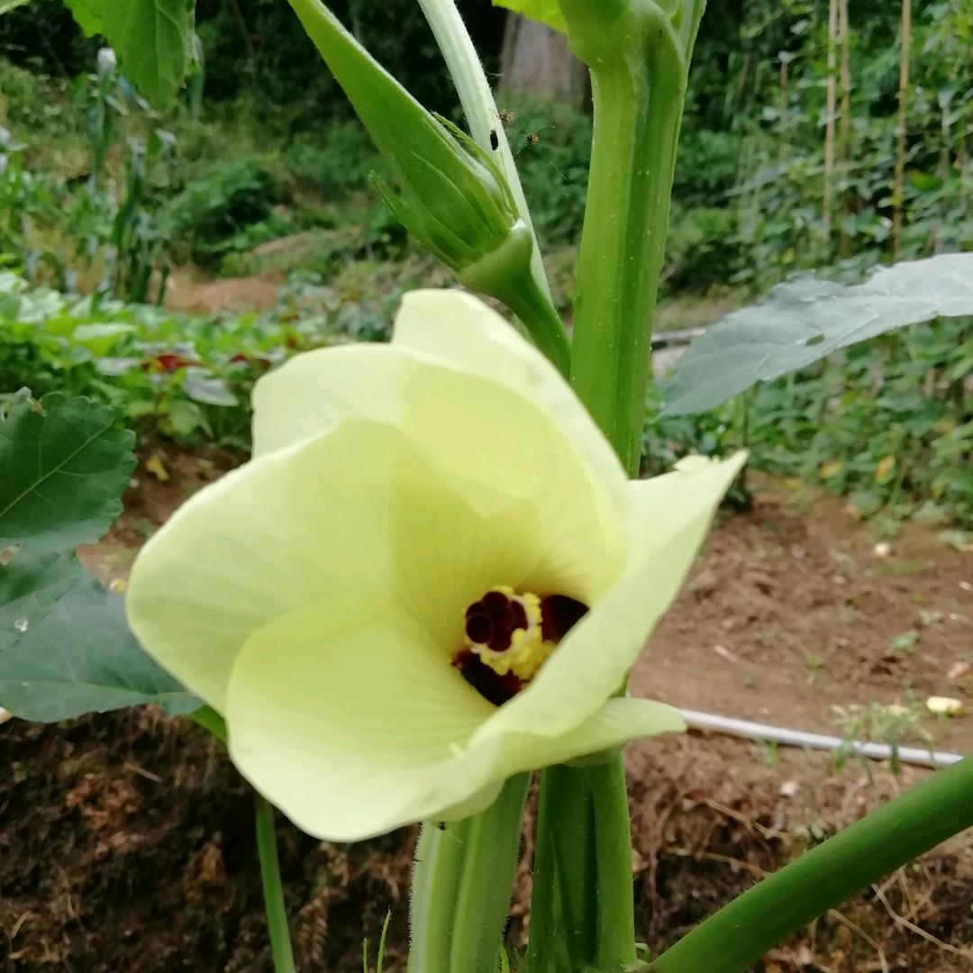 开心54428281〔拒绝私聊〕