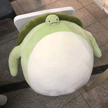 青竹柚