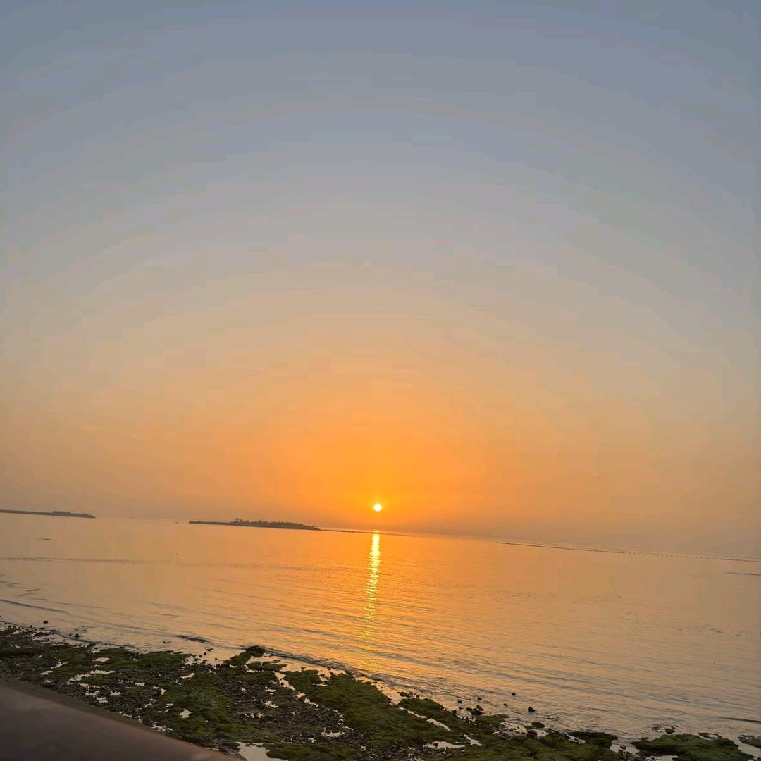橘器