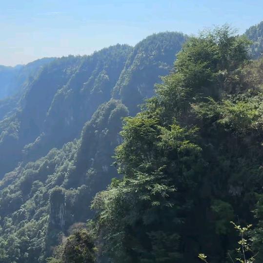 非我