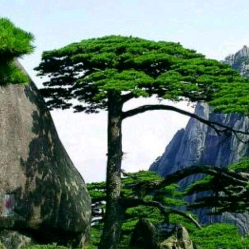 平凡人生