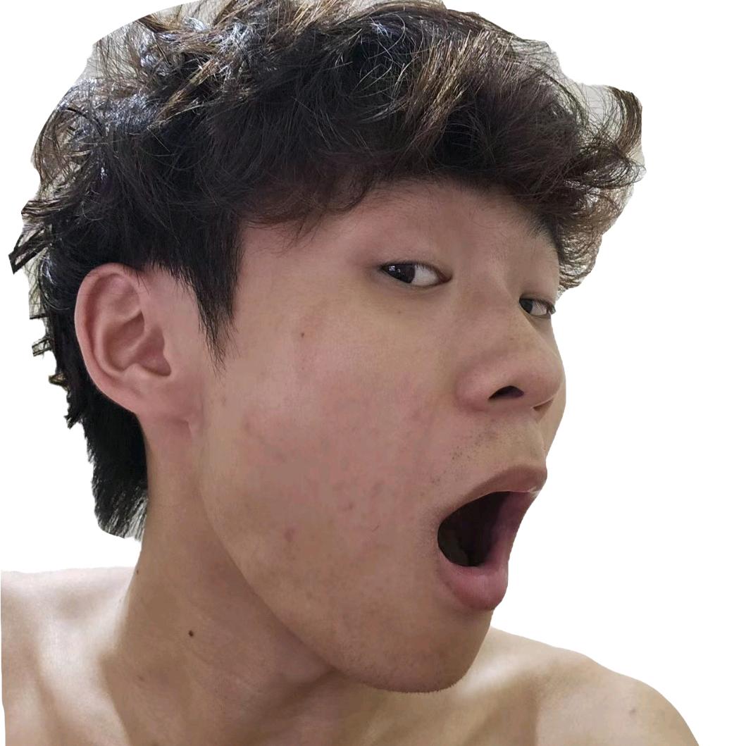 蠢蠢乐