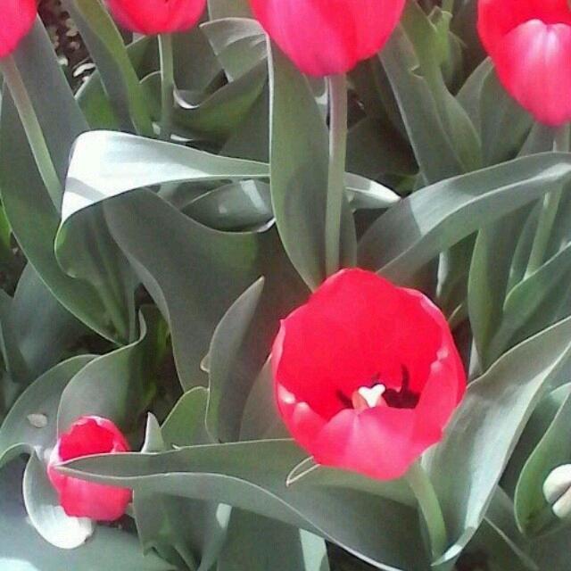 张卫超一路单飞