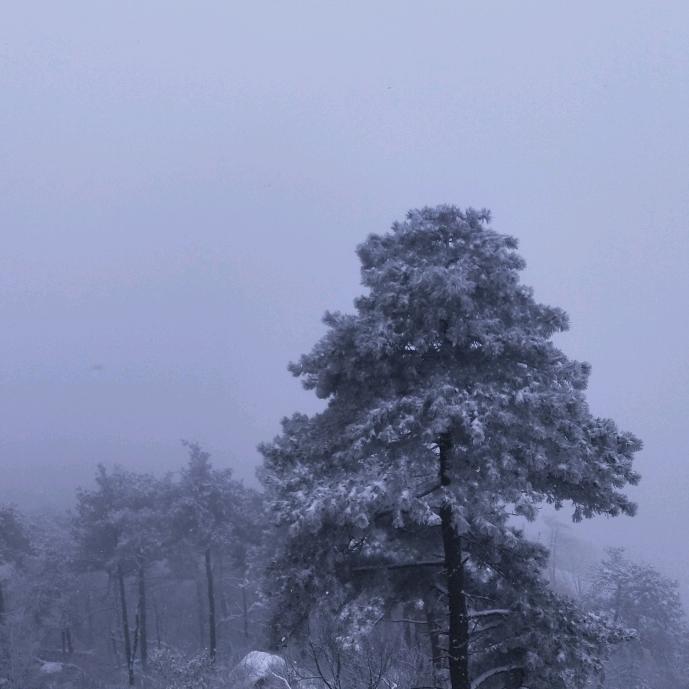 忠厚诚意，心胸坦荡