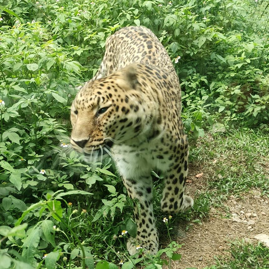 吃糖都不甜的年纪
