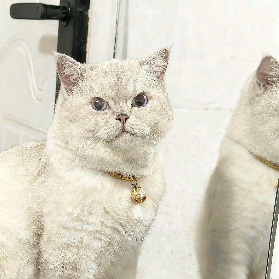 讨厌酒的味道却爱上醉的感觉