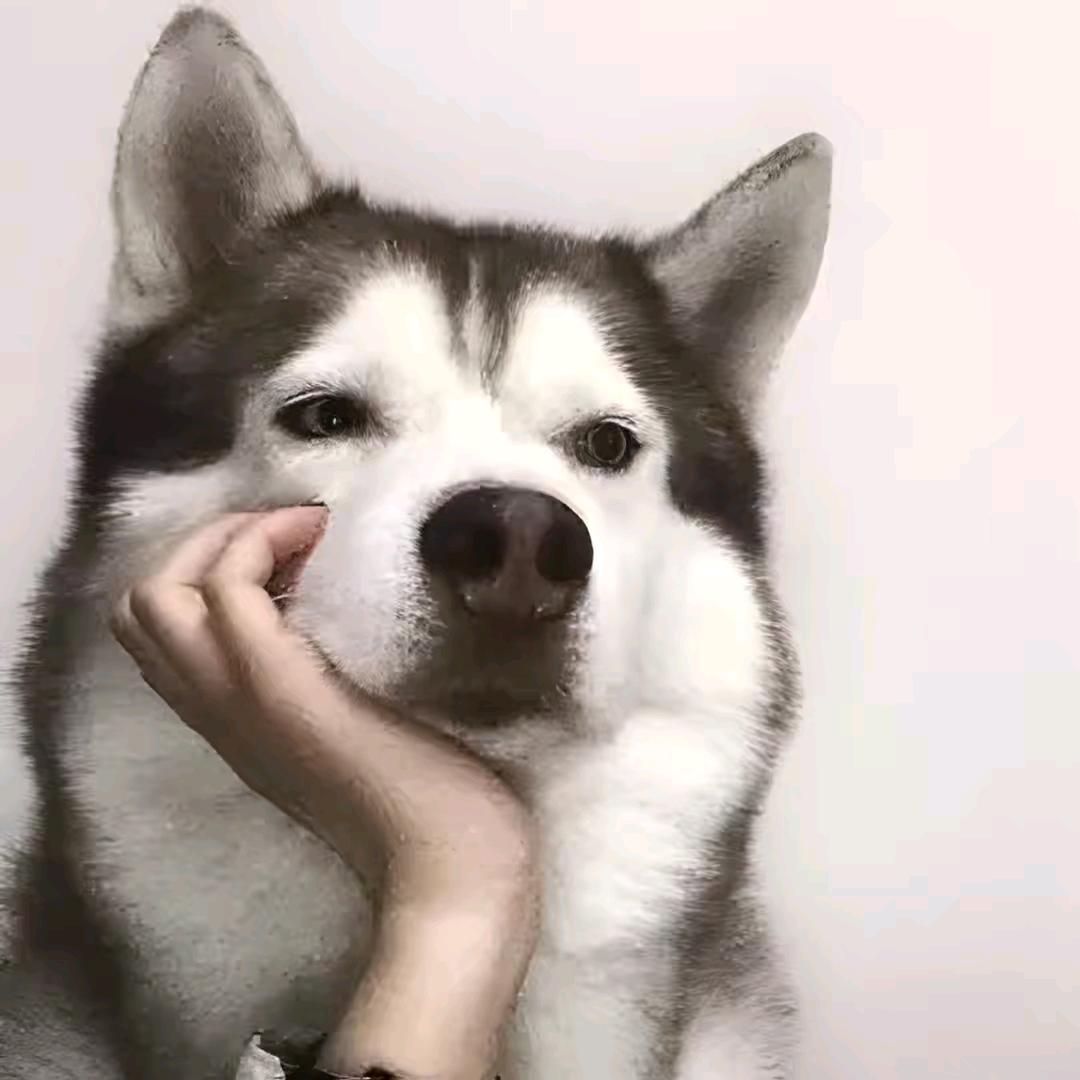 红姐百货商贸