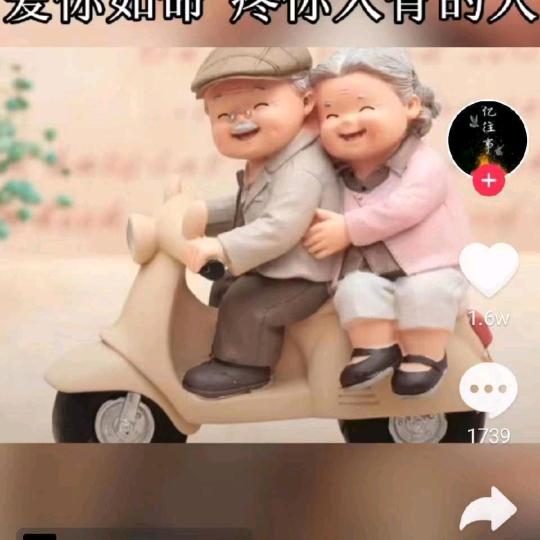 钟爱一生
