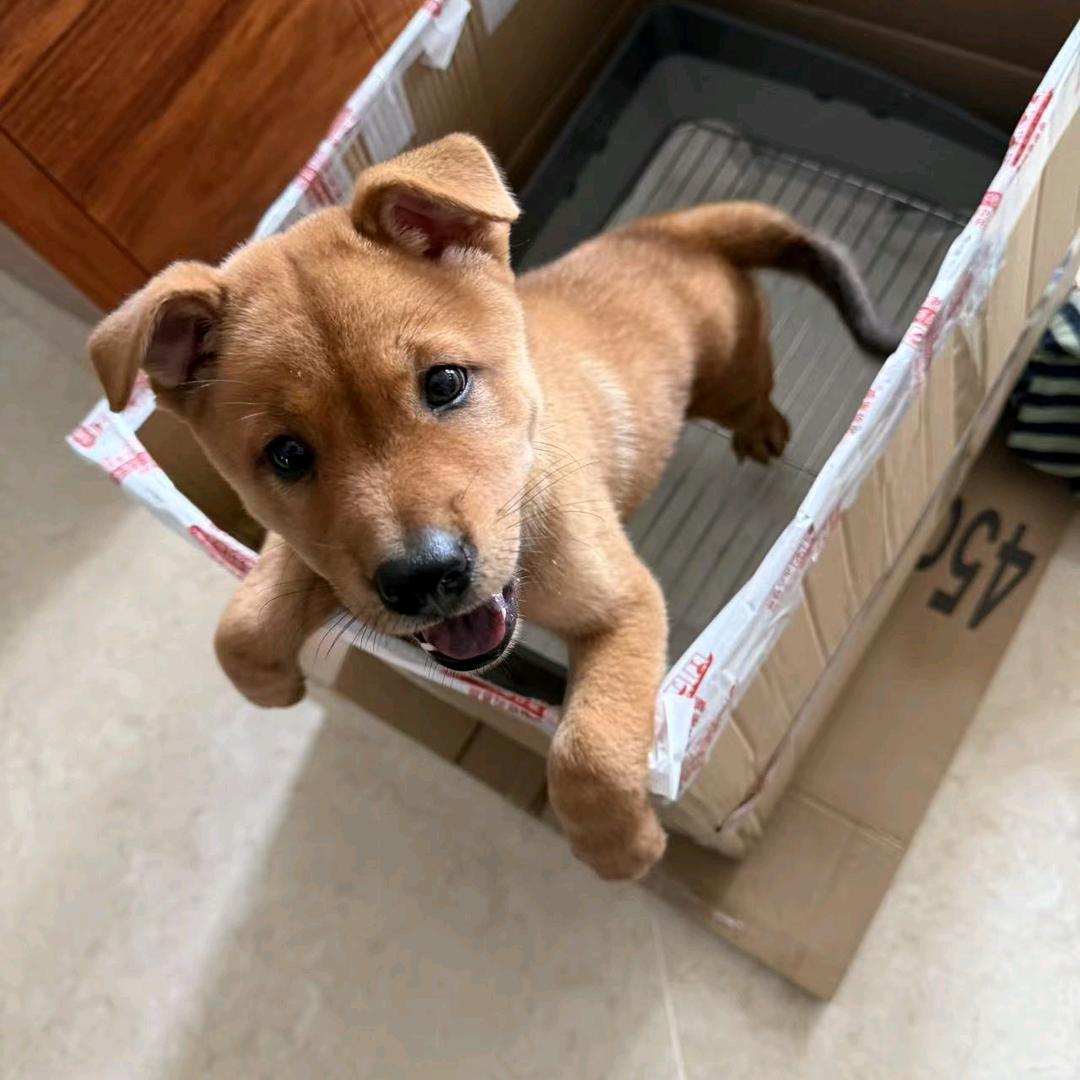 十一的生活日志