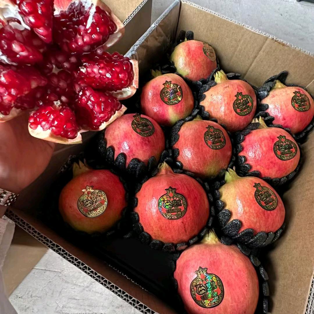 鲜果源头甄选联盟